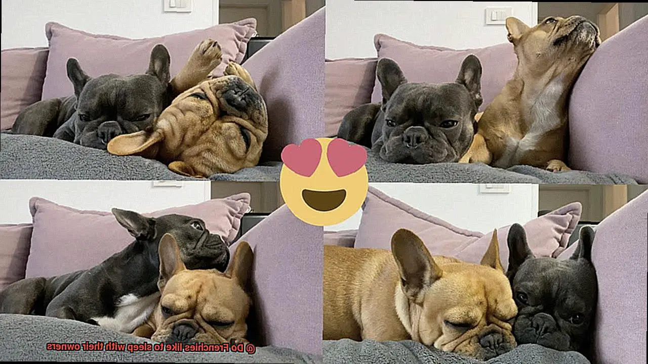 Do Frenchies like to sleep with their owners-2