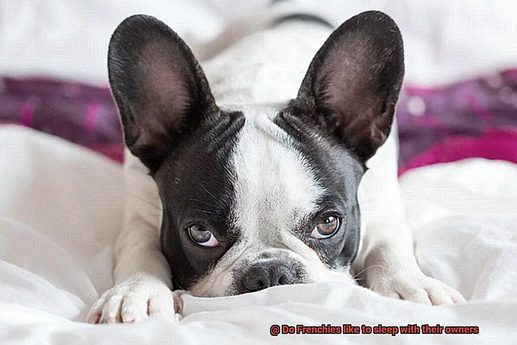 Do Frenchies like to sleep with their owners-7