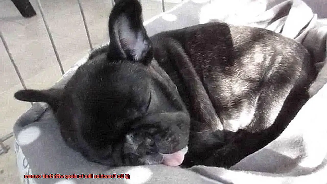 Do Frenchies like to sleep with their owners-12