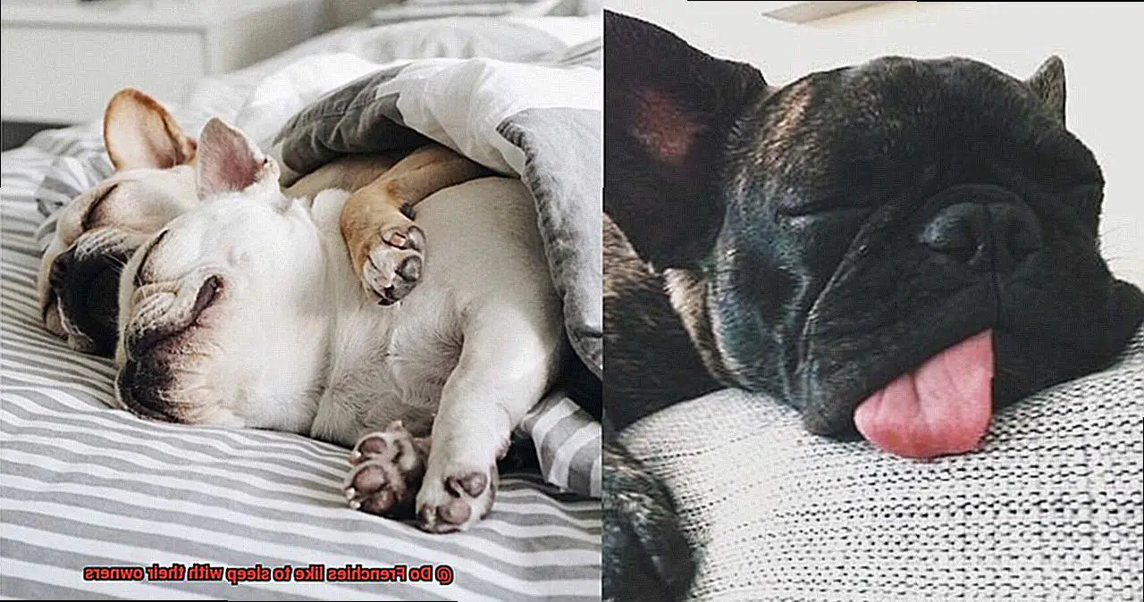 Do Frenchies like to sleep with their owners-4