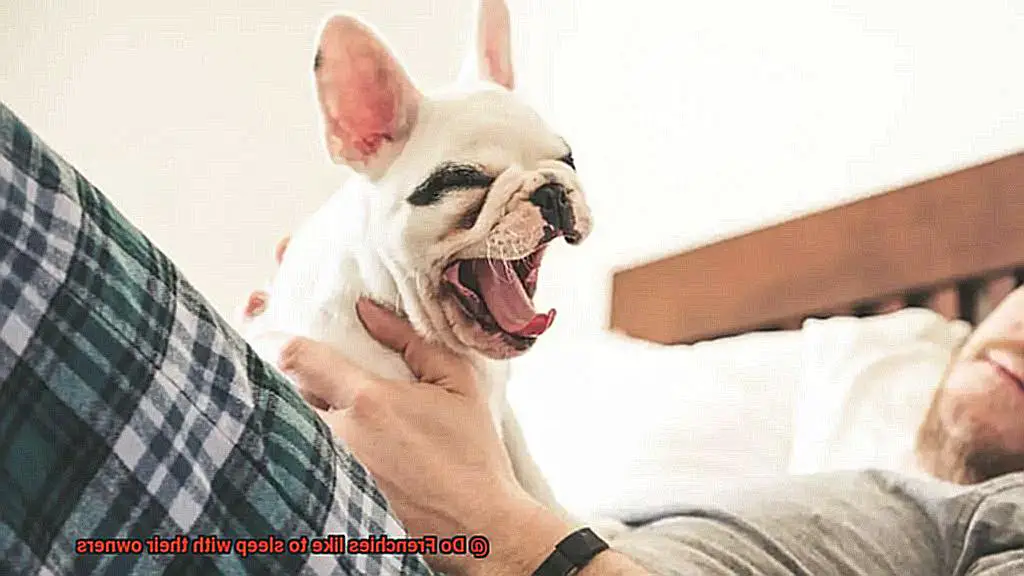 Do Frenchies like to sleep with their owners-10
