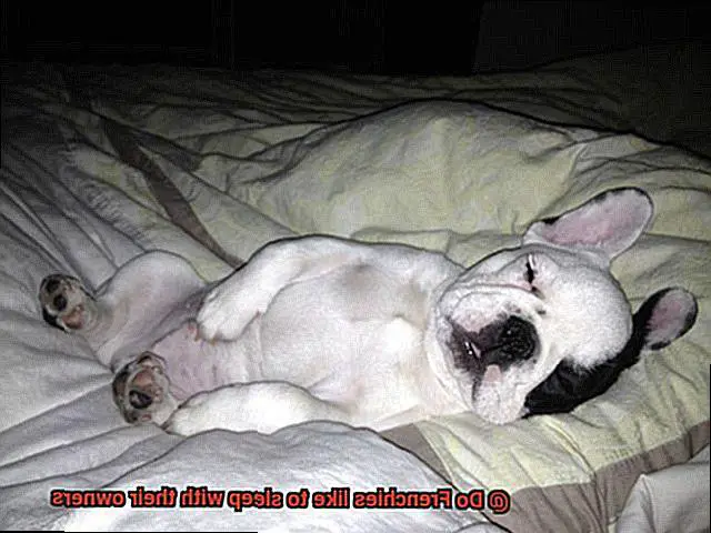 Do Frenchies like to sleep with their owners-3