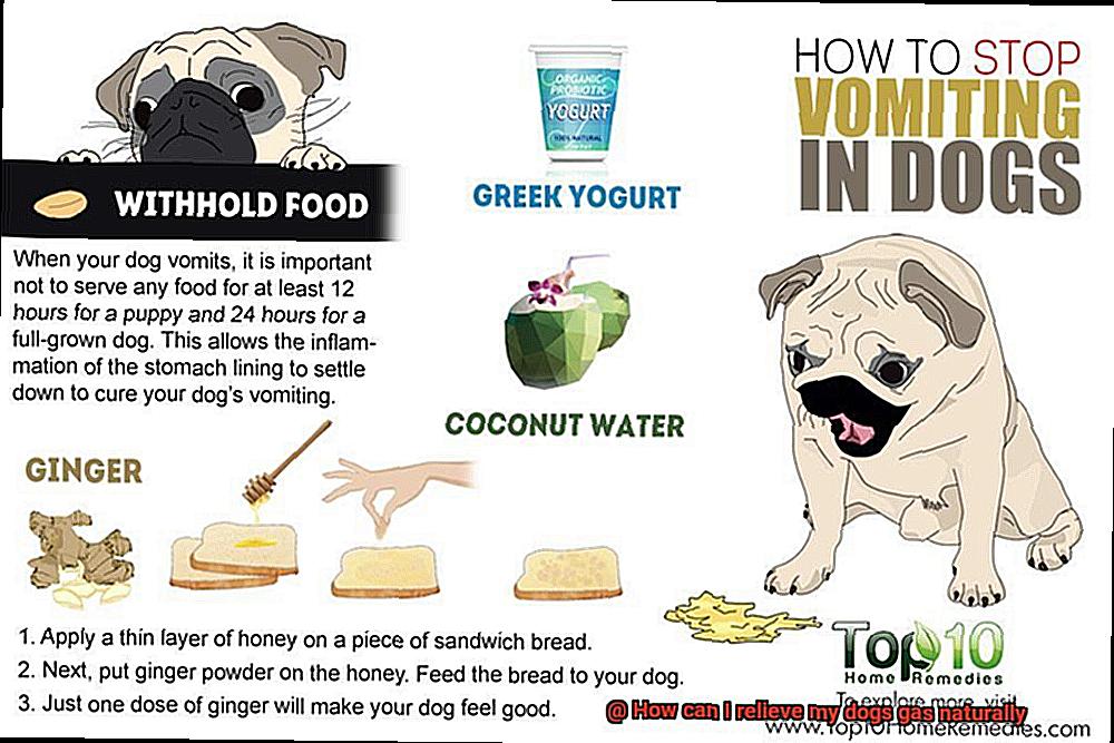 How can I relieve my dogs gas naturally-6