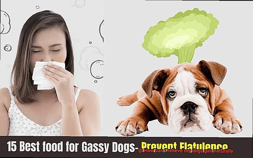 How can I relieve my dogs gas naturally-8