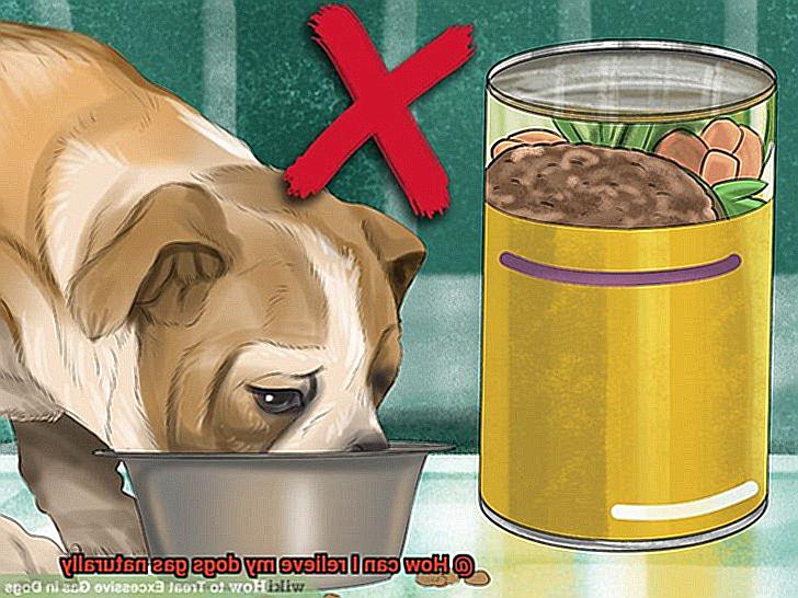 How can I relieve my dogs gas naturally-5