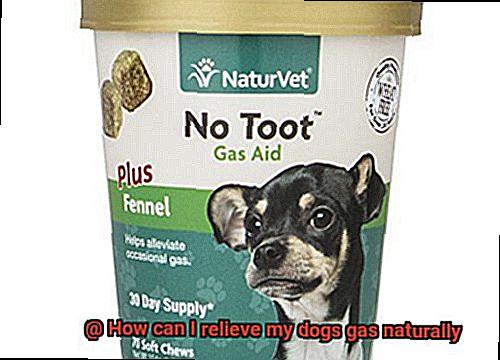 How can I relieve my dogs gas naturally-9