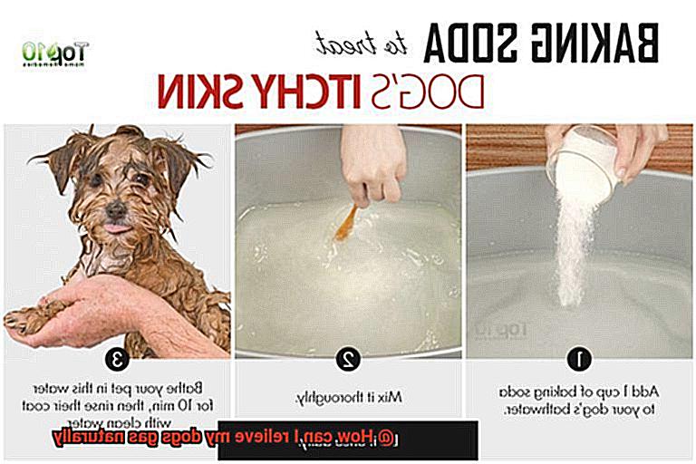 How can I relieve my dogs gas naturally-11