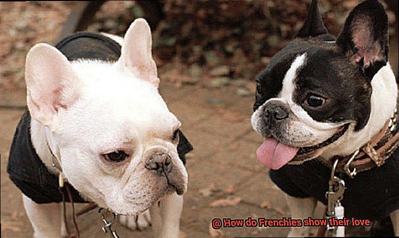 How do Frenchies show their love-5