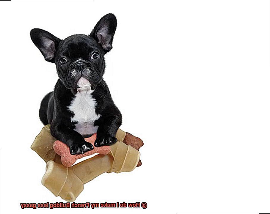 How do I make my French Bulldog less gassy-7