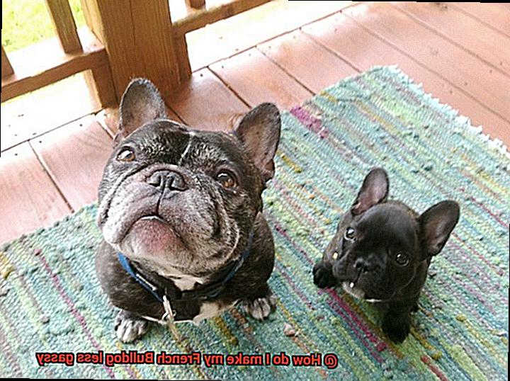 How do I make my French Bulldog less gassy-9
