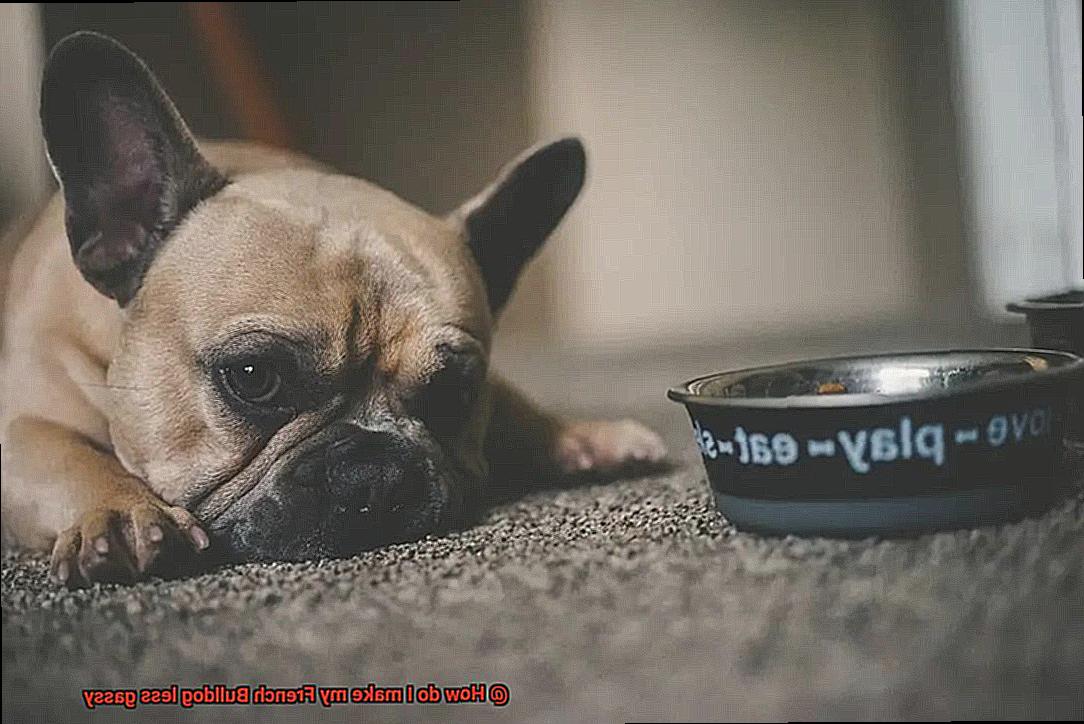 How do I make my French Bulldog less gassy-10