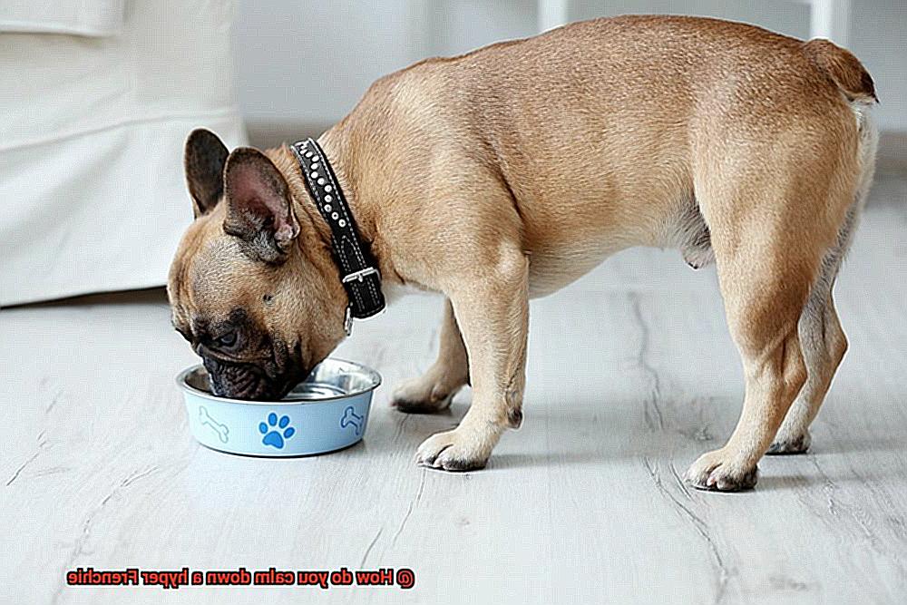 How do you calm down a hyper Frenchie-4