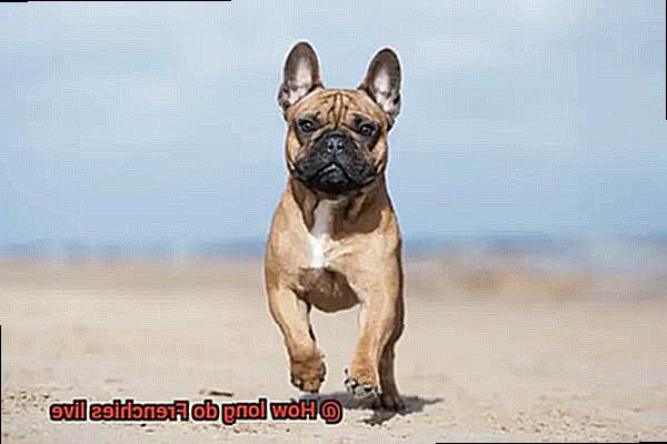 How long do Frenchies live-2
