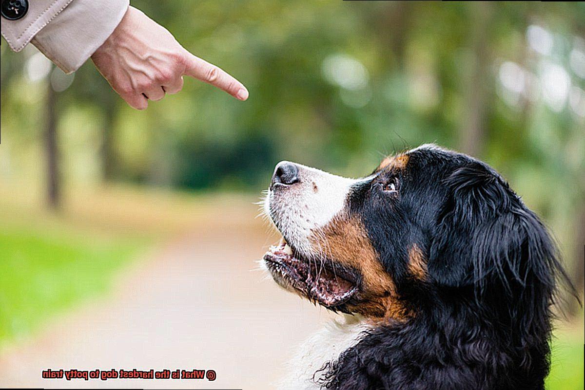 What is the hardest dog to potty train-2