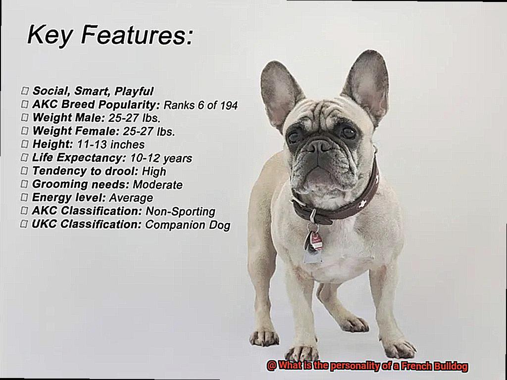 What is the personality of a French Bulldog-2
