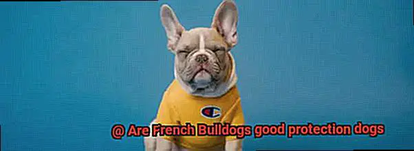 Are French Bulldogs good protection dogs-3