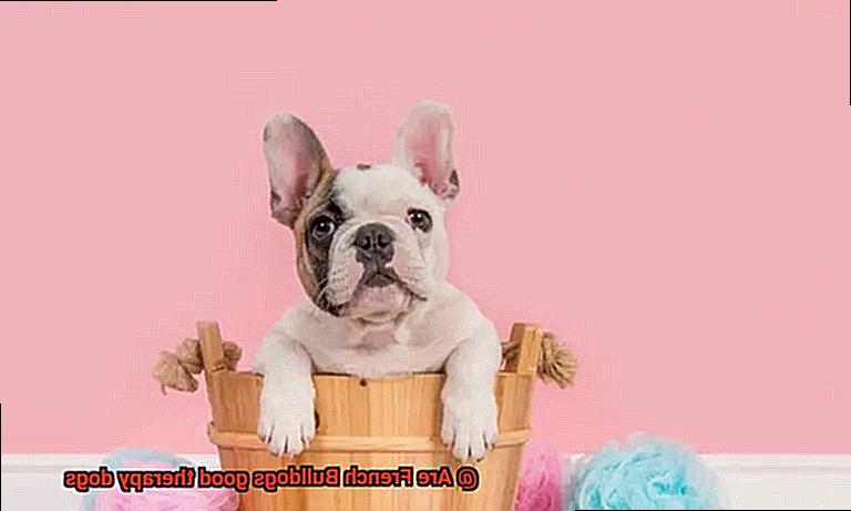 Are French Bulldogs good therapy dogs-2