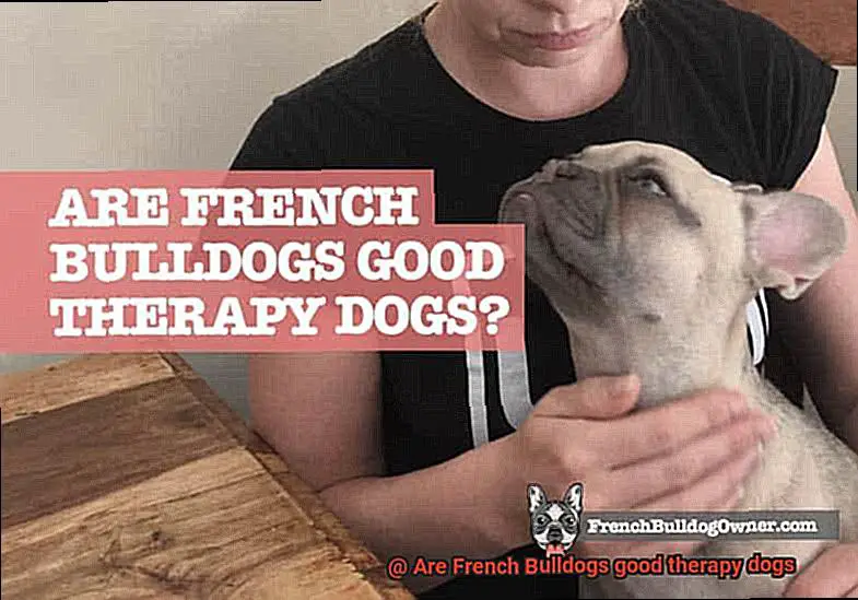 Are French Bulldogs good therapy dogs-6