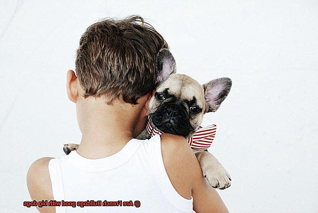 Are French Bulldogs good with big dogs-6
