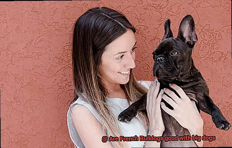 Are French Bulldogs good with big dogs-4