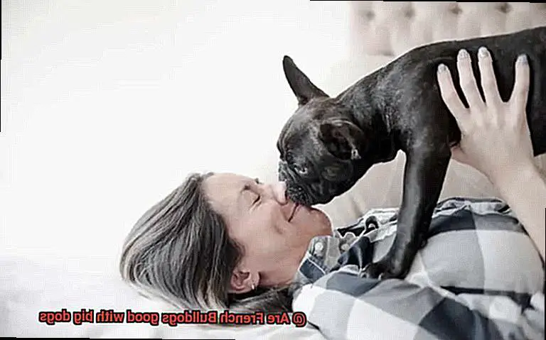 Are French Bulldogs good with big dogs-3