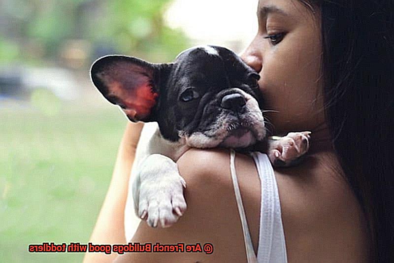 Are French Bulldogs good with toddlers-4