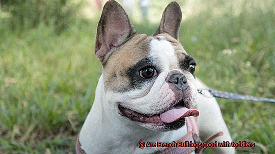 Are French Bulldogs good with toddlers-5