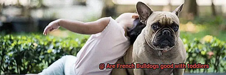 Are French Bulldogs good with toddlers-6