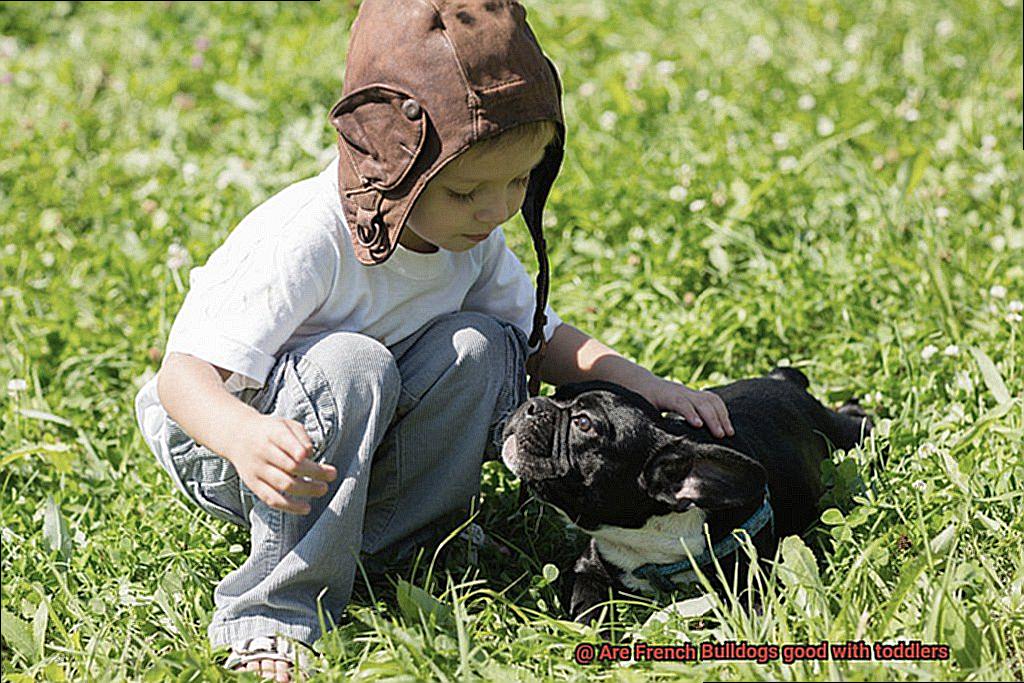 Are French Bulldogs good with toddlers-3