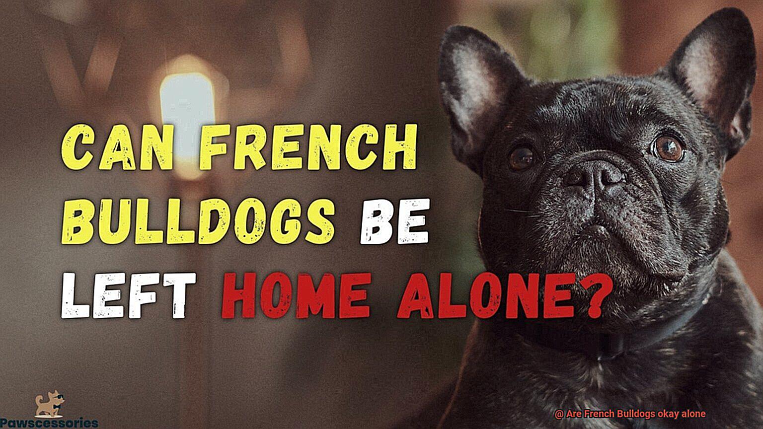 Are French Bulldogs okay alone-2