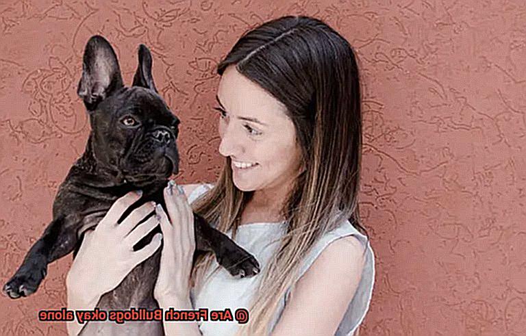 Are French Bulldogs okay alone-3
