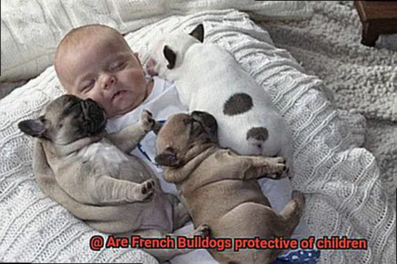Are French Bulldogs protective of children-5