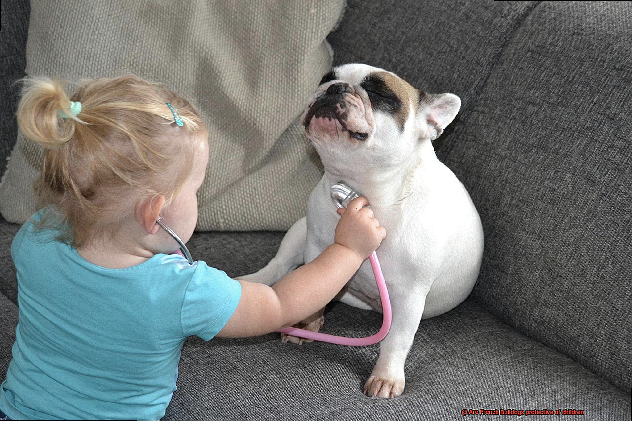 Are French Bulldogs protective of children-6