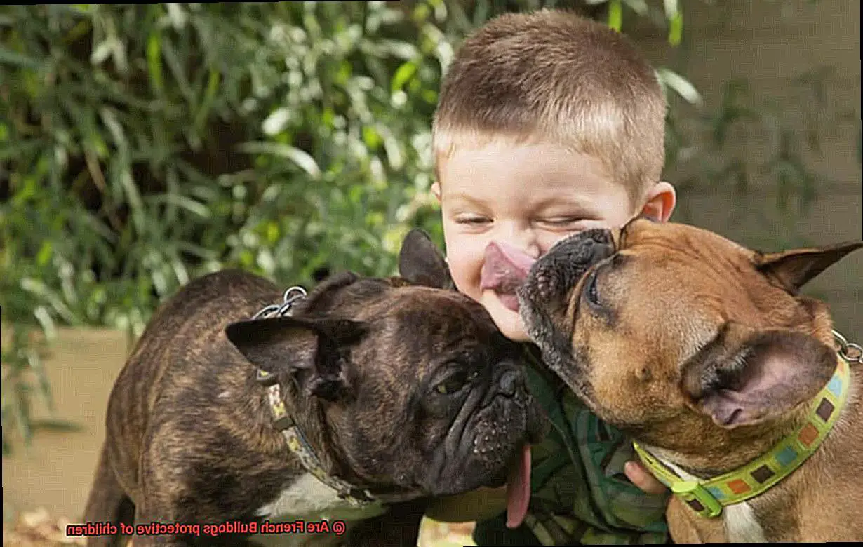 Are French Bulldogs protective of children-4