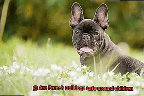 Are French Bulldogs safe around children-2