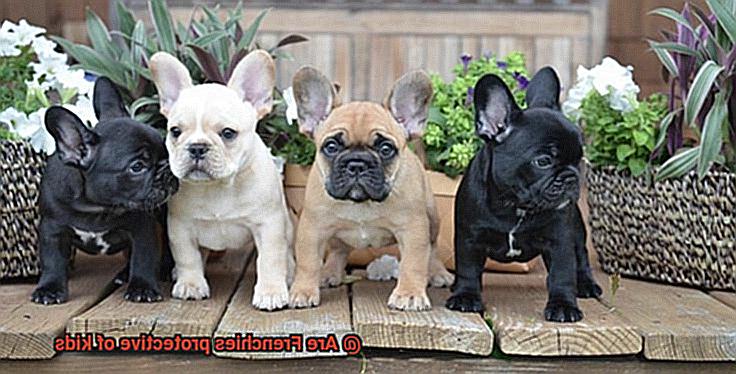 Are Frenchies protective of kids-2