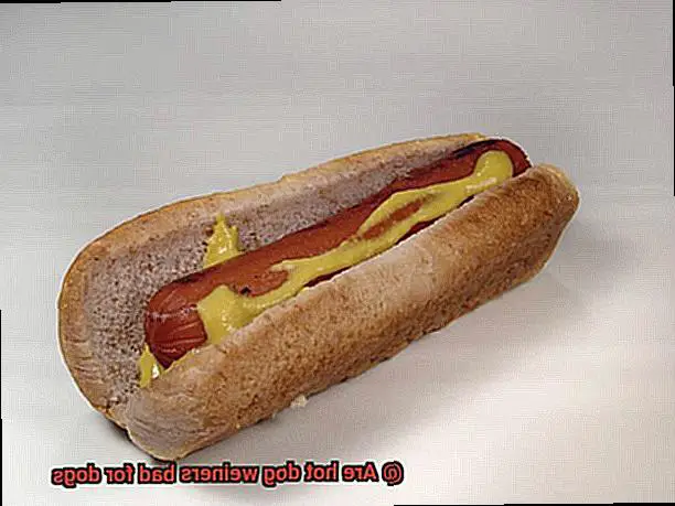 Are hot dog weiners bad for dogs-2