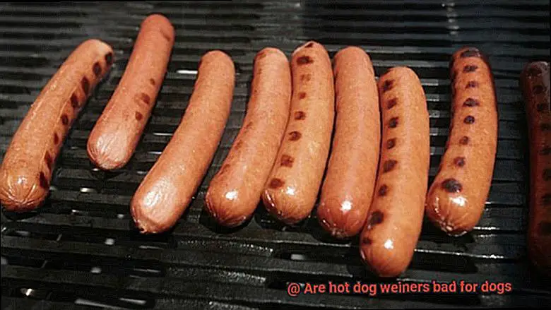 Are hot dog weiners bad for dogs-5