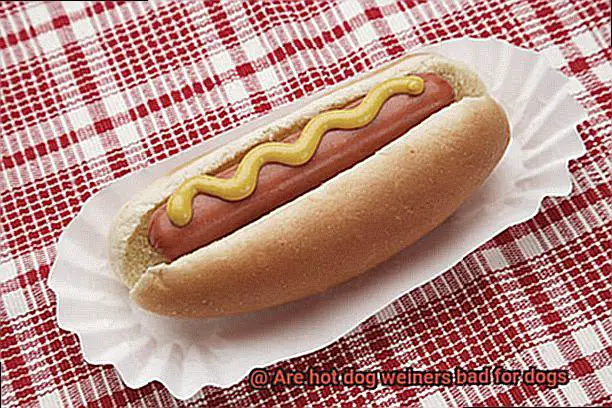 Are hot dog weiners bad for dogs-6