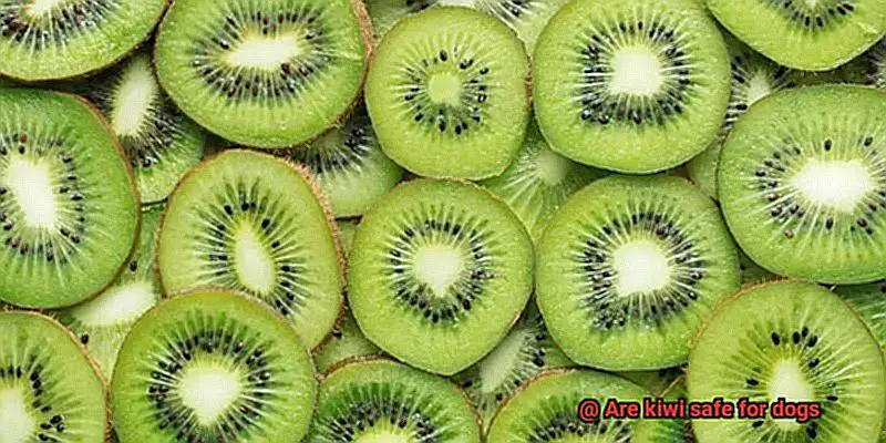 Are kiwi safe for dogs-3