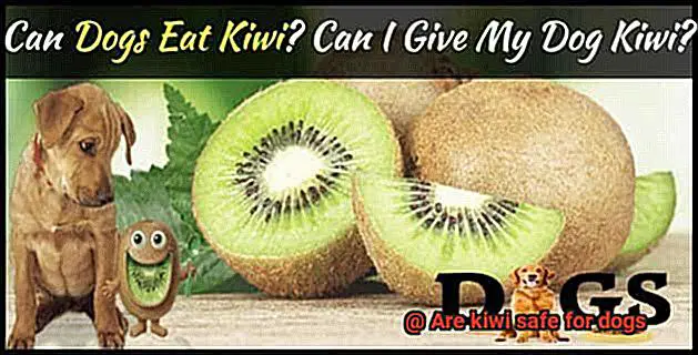 Are kiwi safe for dogs-2