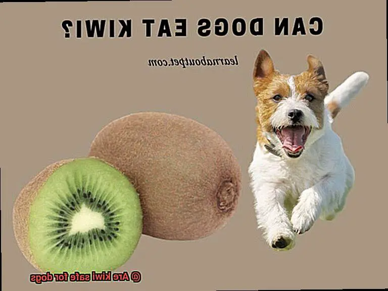 Are kiwi safe for dogs-4