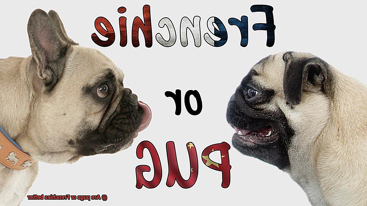 Are pugs or Frenchies better-7