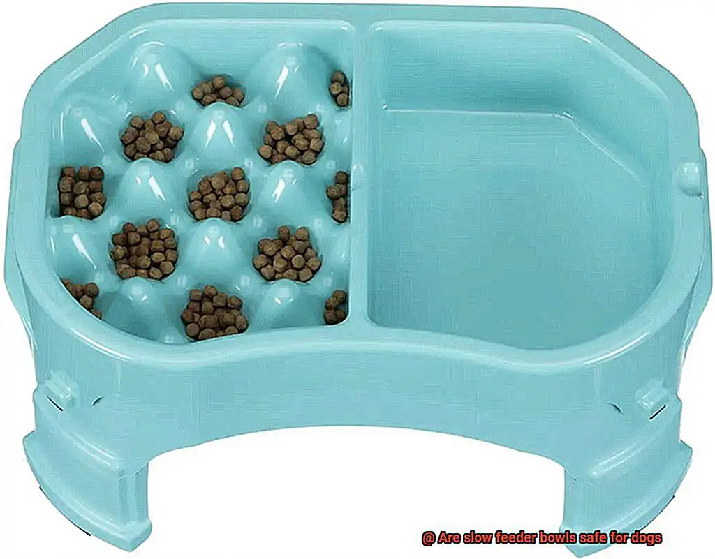 Are slow feeder bowls safe for dogs-2