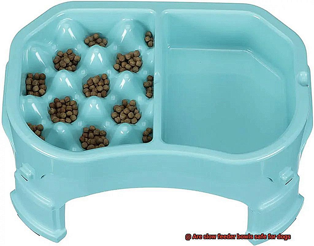 Are slow feeder bowls safe for dogs-2