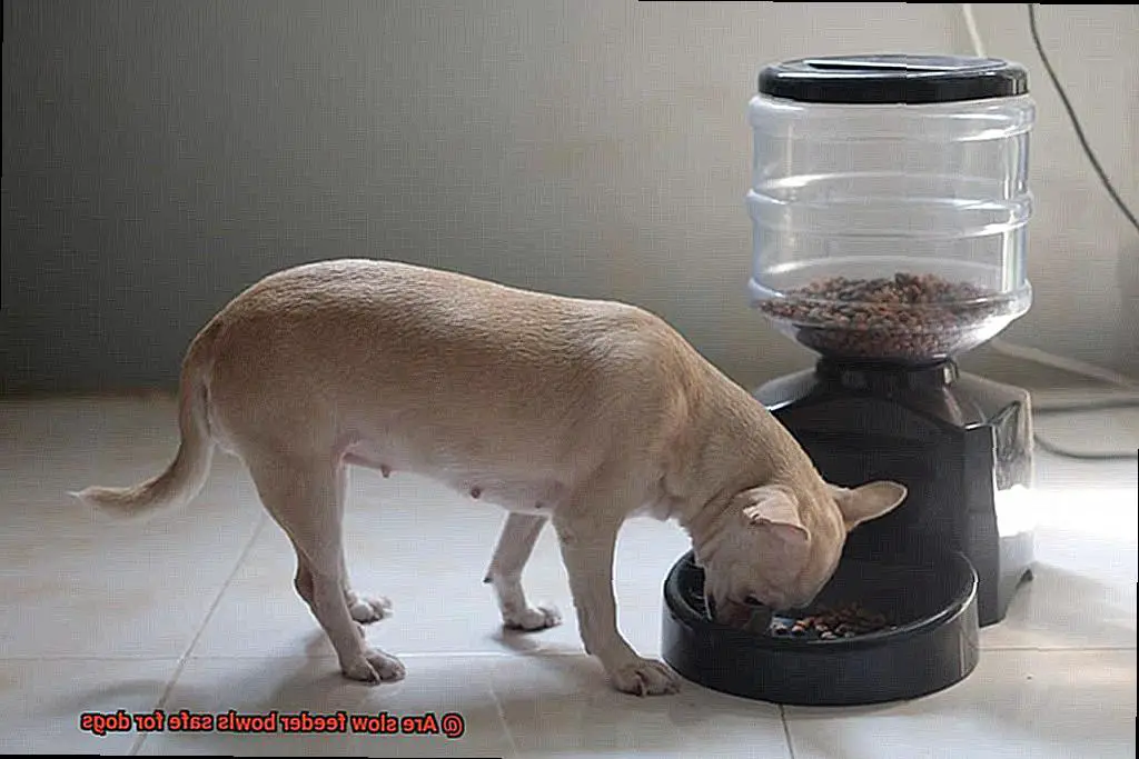 Are slow feeder bowls safe for dogs-4
