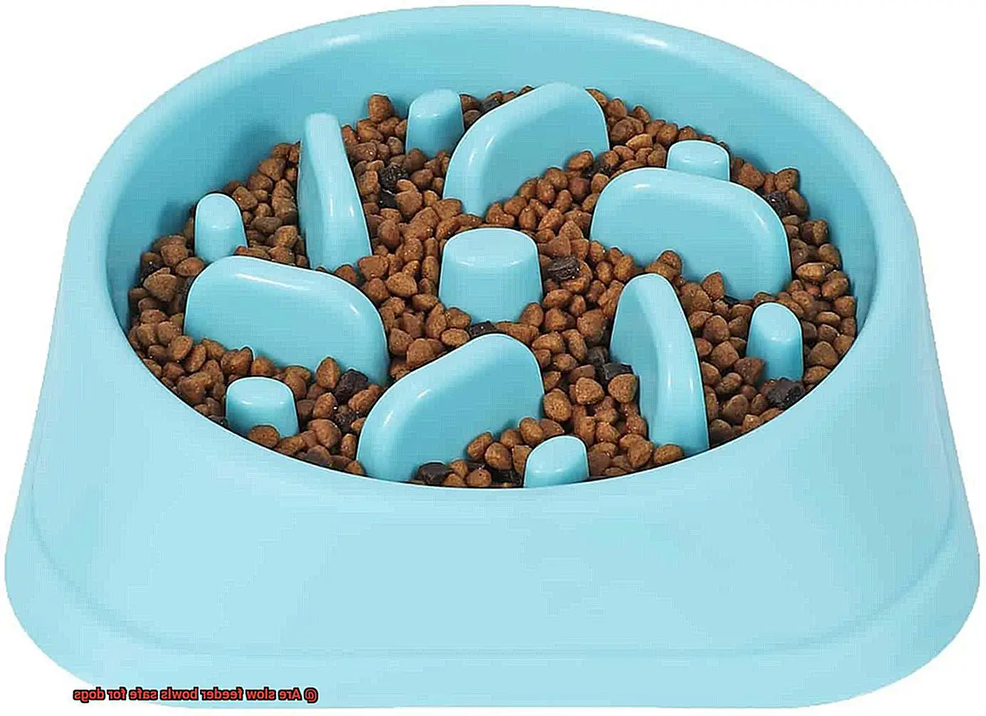 Are slow feeder bowls safe for dogs-3