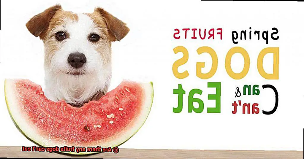 Are there any fruits dogs can't eat-6