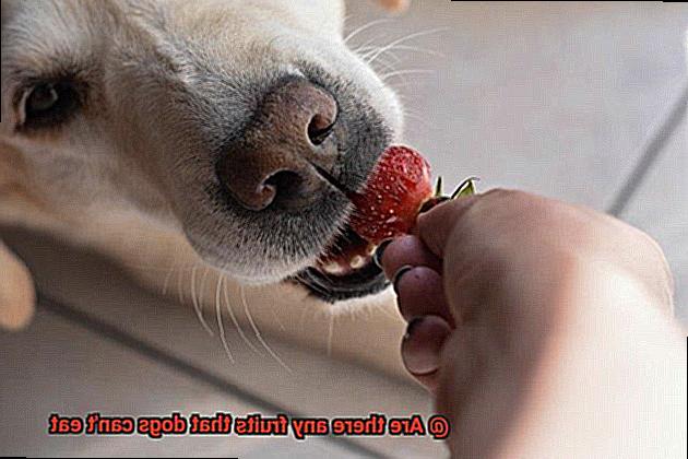 Are there any fruits that dogs can't eat-3