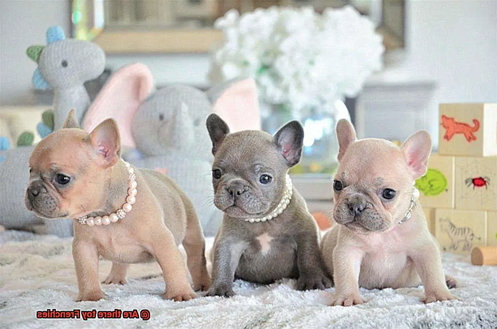 Are there toy Frenchies-2